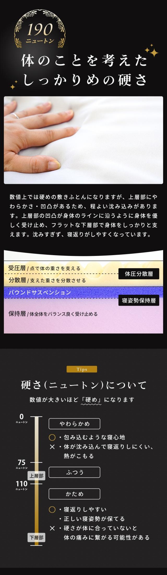 しっかりめの硬さ