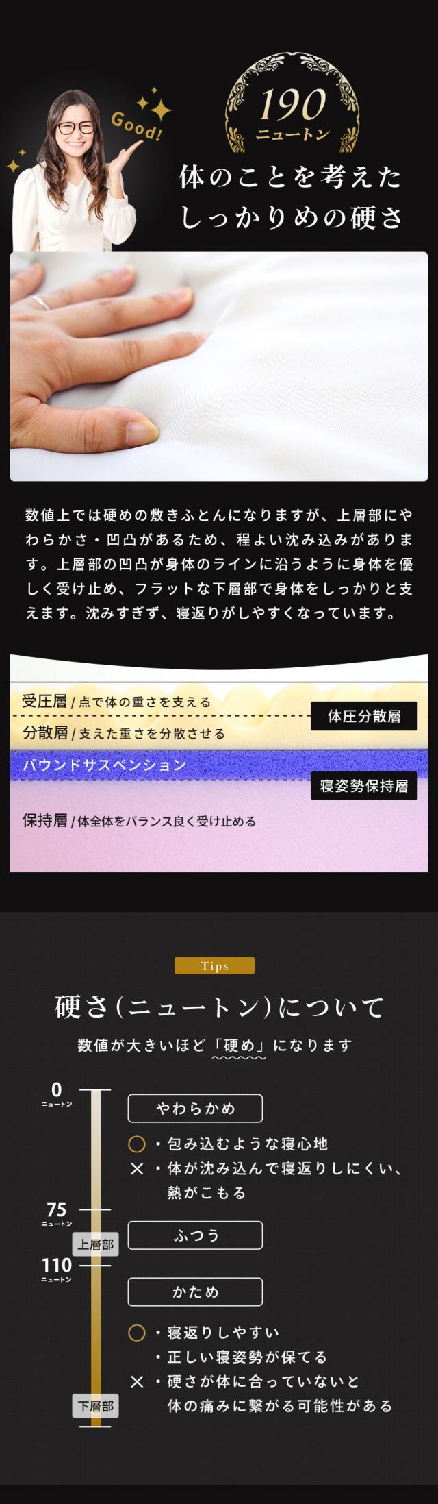 しっかりめの硬さ