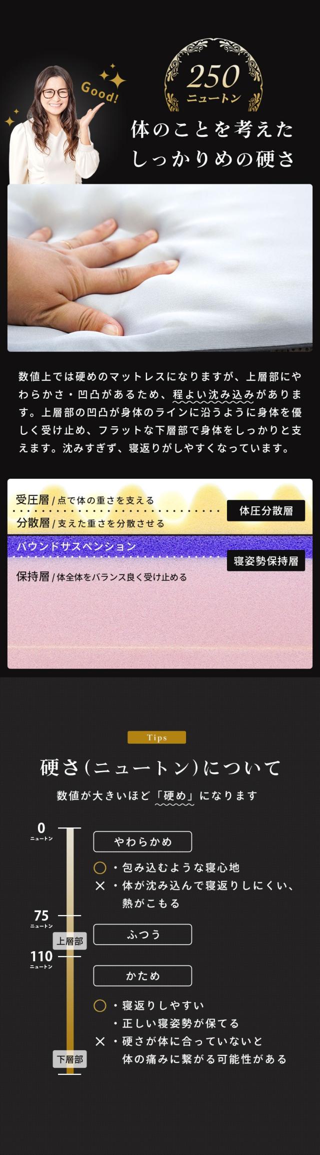 しっかりめの硬さ