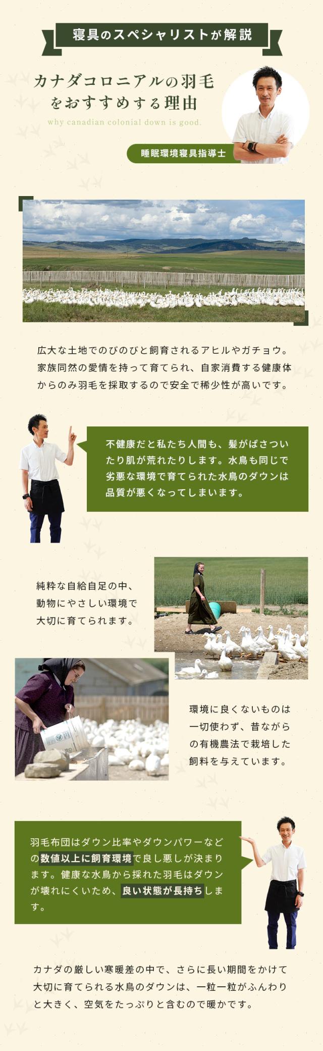 睡眠環境寝具指導士がカナダコロニアルをおすすめする理由