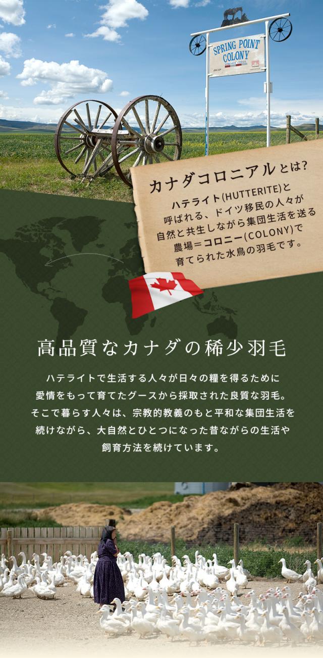カナダコロニアルとは高品質なカナダの稀少羽毛