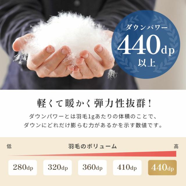 ダウンパワー440dp以上