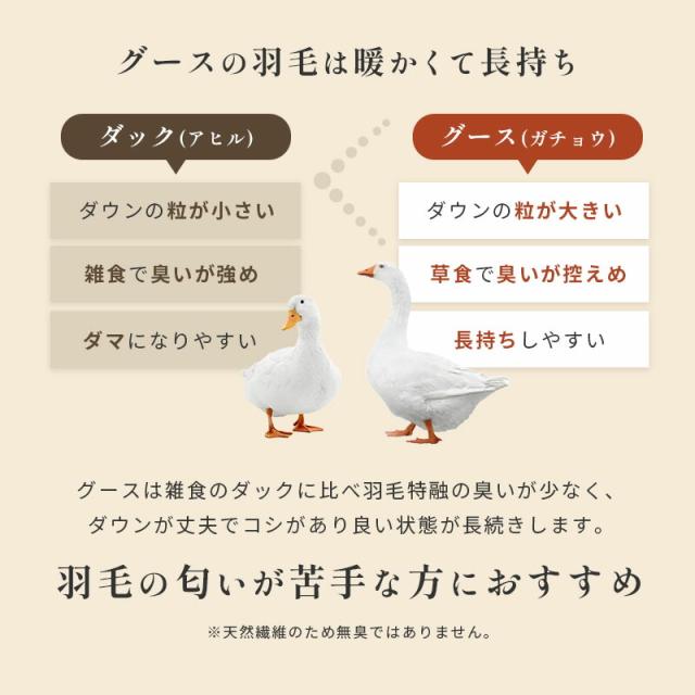 グースの羽毛は暖かくて長持ちで臭いが控えめ