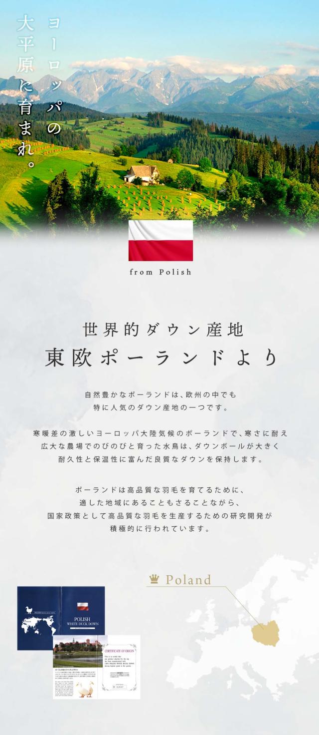 ポーランド産
