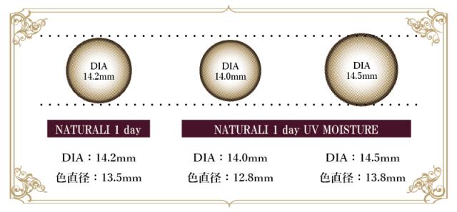 レンズ比較画像