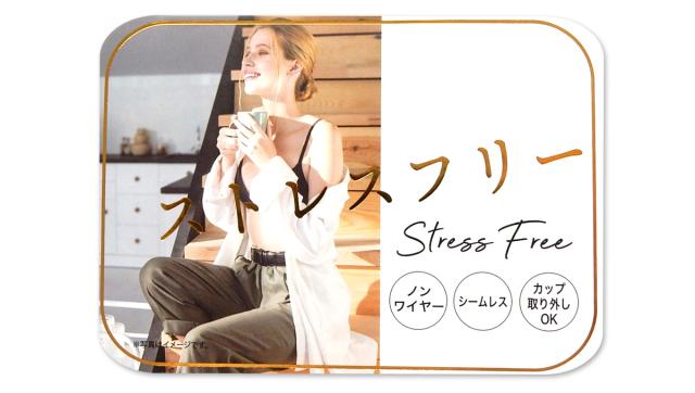 【送料無料】レディース 婦人 成型ハーフトップブラ ノンワイヤー シームレス カップ取り外しOK ボーダー 下着 yg-1150【メール便対応】