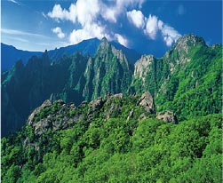 緑と水のあふれる山がふるさと