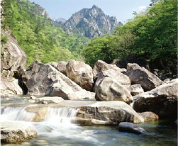 雪岳山系天然水仕立