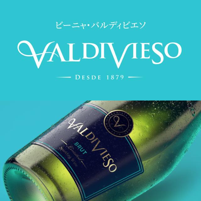 ビーニャ バルディビエソ