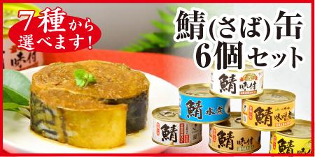 7種類から選べる! 鯖（さば）缶6個セット