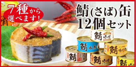 7種類から選べる! 鯖（さば）缶12個セット