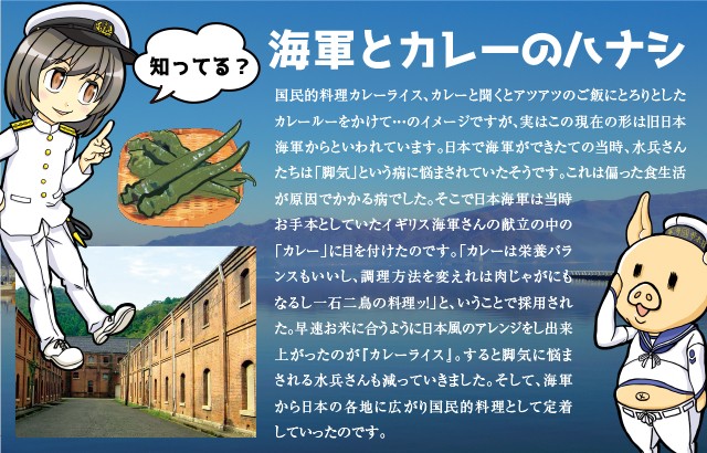 気質アップ 海軍さんのカレー 京都 舞鶴編 万願寺甘とう入り レトルト0g 2食入り 10箱セット 送料無料 海軍カレー ビーフカレー レ 楽天ランキング1位 Www Hoteldesmarquisats Com