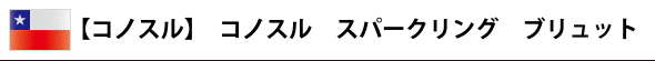 【コノスル】 スパークリング ブリュット