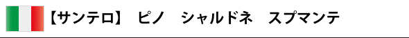 【サンテロ】 ピノ シャルドネ スプマンテ