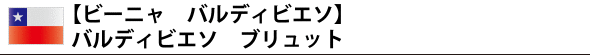 【ビーニャ バルディビエソ】 バルディビエソ ブリュット