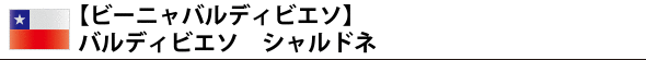 【ビーニャ バルディビエソ】 バルディビエソ シャルドネ