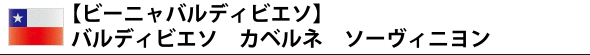 【ビーニャ バルディビエソ】 バルディビエソ カベルネ ソーヴィニヨン