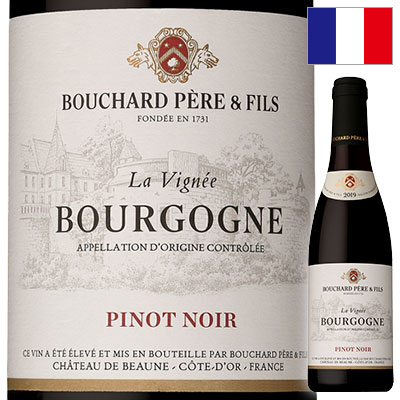 〈フランス ブルゴーニュ〉