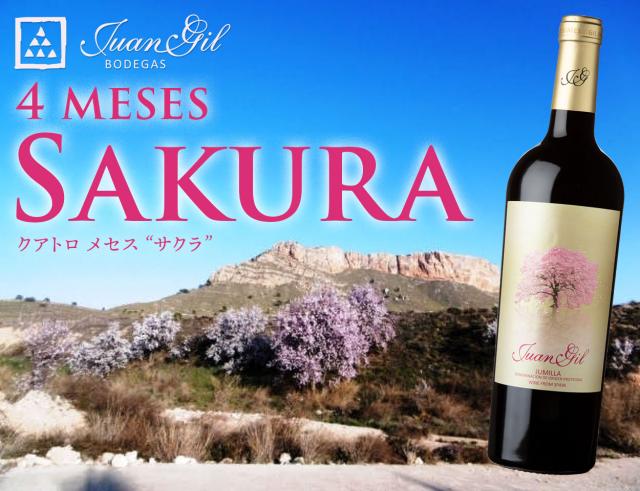【ファン ヒル】 クアトロ メセス “サクラ”