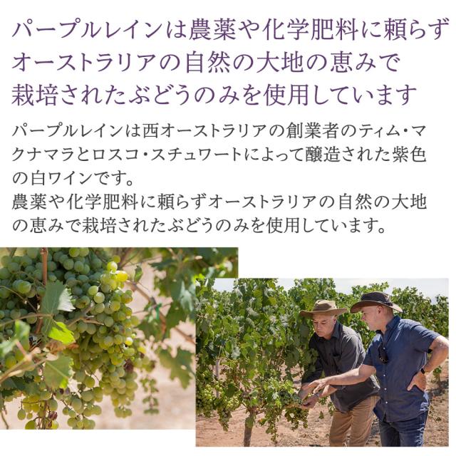 パープルレインは農薬や化学肥料に頼らずオーストラリアの自然の大地の恵みで栽培されたぶどうのみを使用しております パープルレインは西オーストラリアの創業者のティム・マクナマラとロスコ・スチュワートによって醸造された紫色の白ワインです。農薬や化学肥料に頼らずオーストラリアの自然の大地の恵みで栽培されたぶどうのみを使用しております。