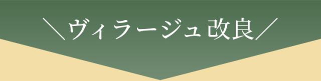 ヴィラージュ改良