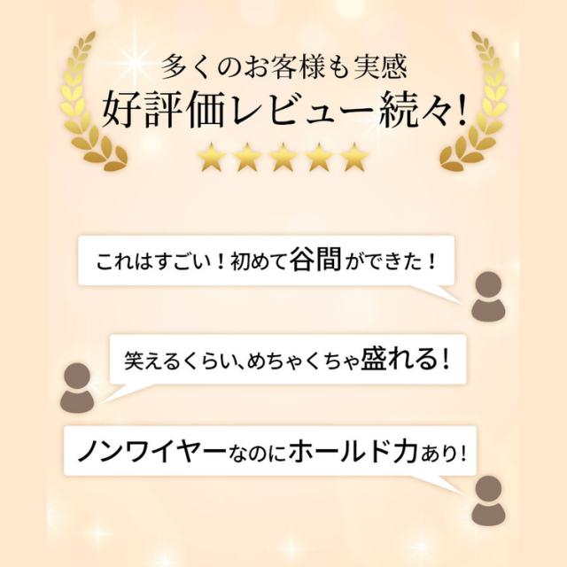 谷間とホールド感に関するヴィラージュの購入者レビュー