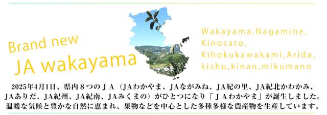 JAわかやまについて