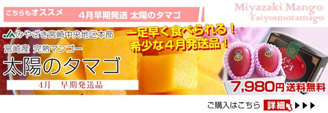 ４月発送　通常太陽のタマゴ