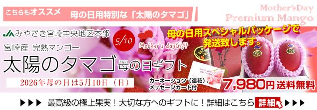 母の日マンゴーへ