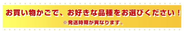 品種お選びいただけます