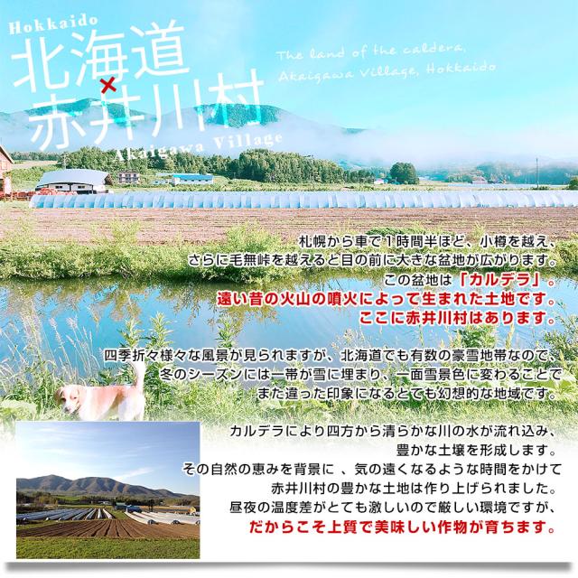 北海道赤井川について