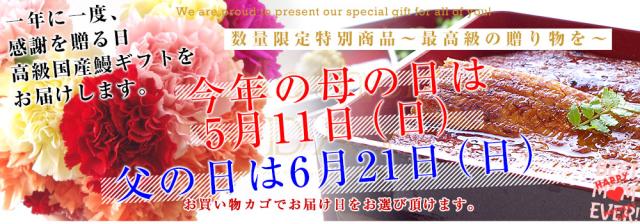 母の日、父の日ギフト