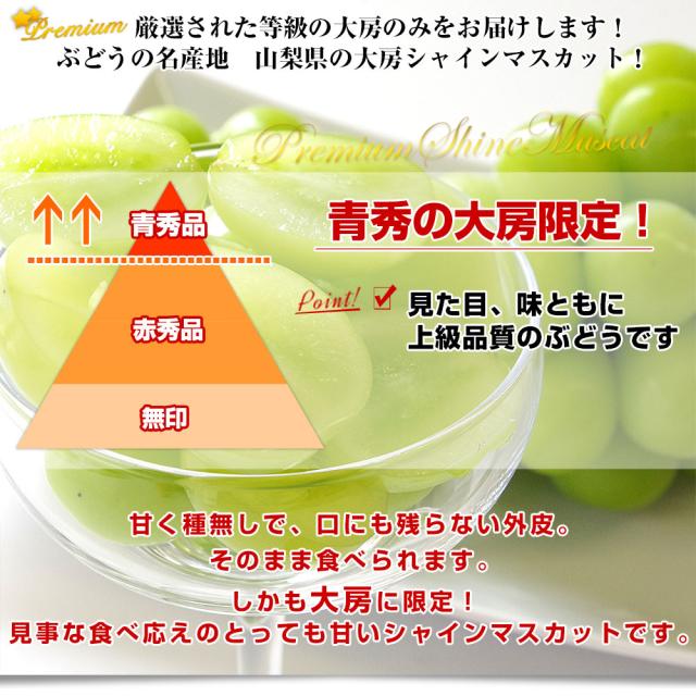 青秀説明