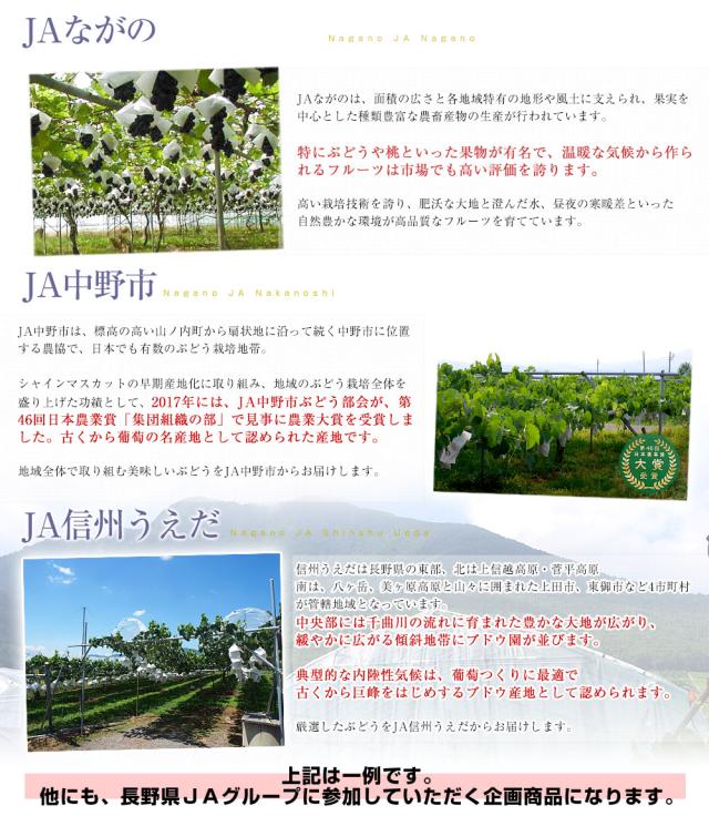 長野産地の説明