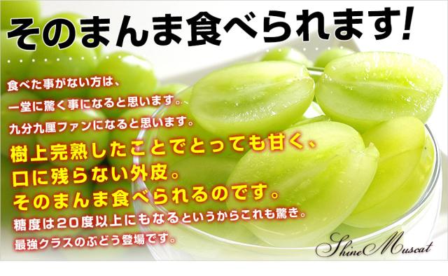 シャインマスカット説明