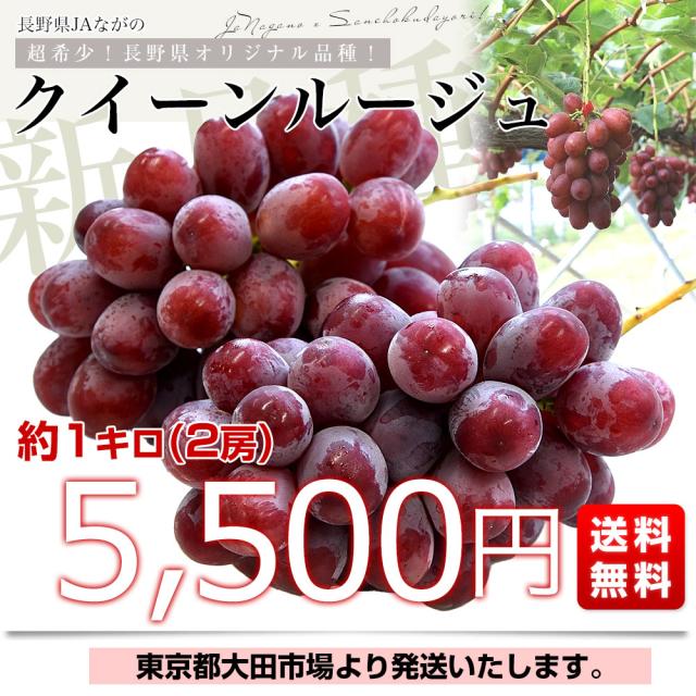 通常版