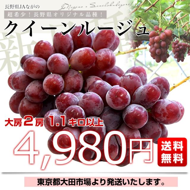 スポット版
