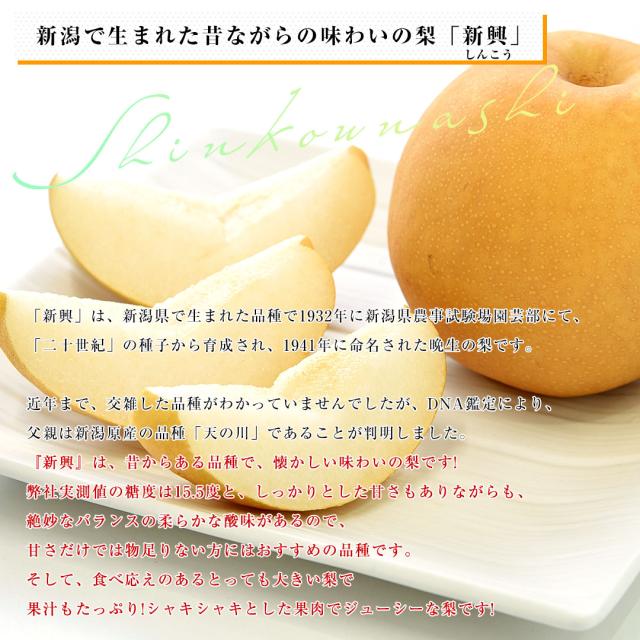 新興説明