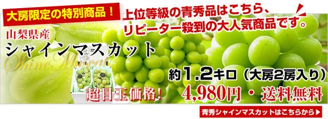 ふえふきシャインへ