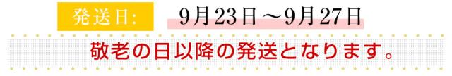 遅れてごめんね発送日