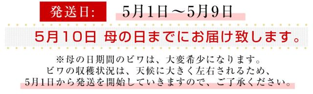 母の日発送
