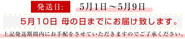 発送日
