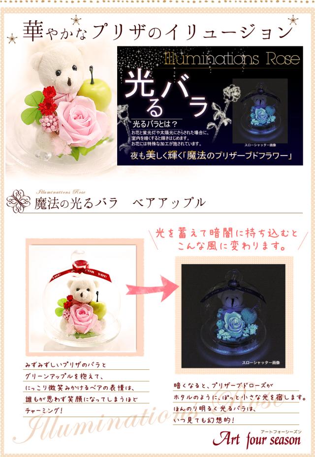 ピンク光るバラ