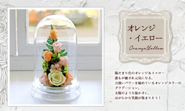 オレンジｲｴﾛｰ