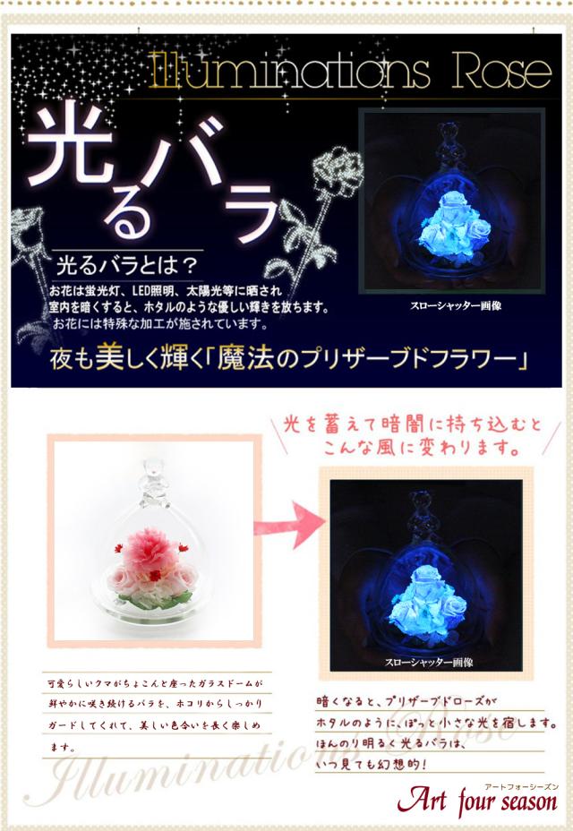 ピンクカーネーション 