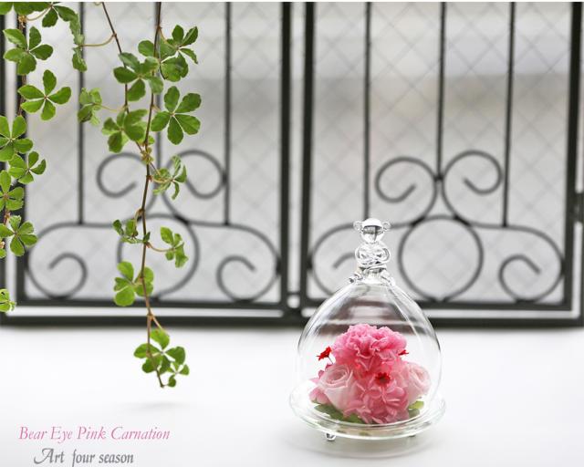 ピンクカーネーション 