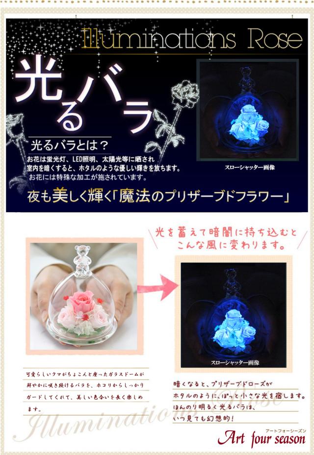 光るバラピンク