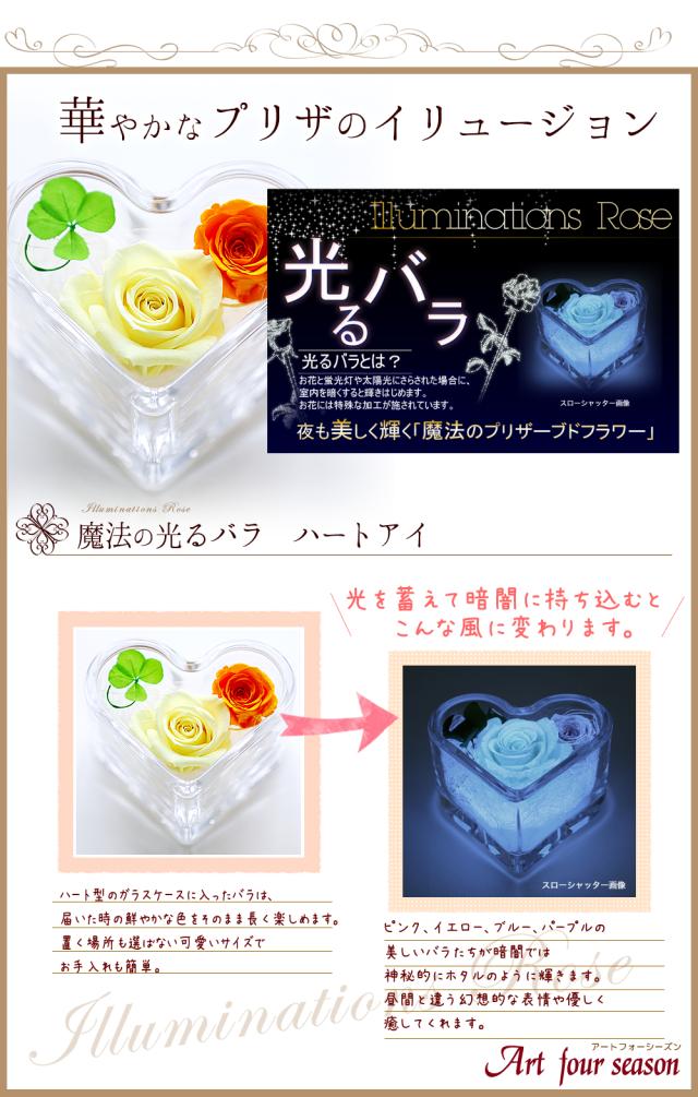 イエロー光るバラ