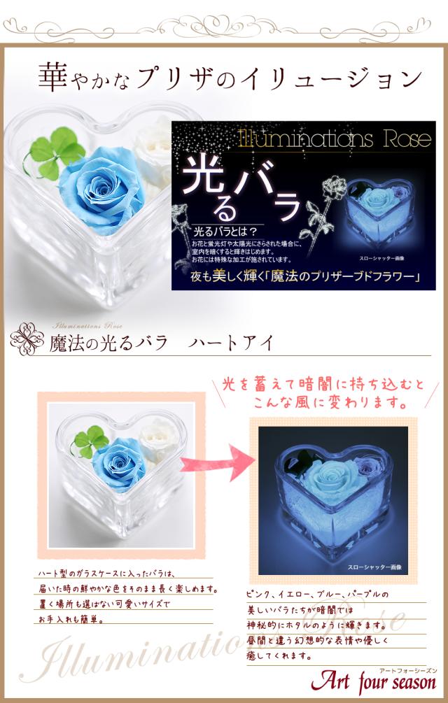 ブルー光るバラ 