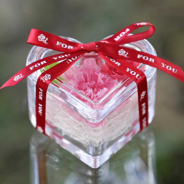 カーネーション